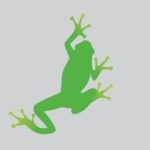 free green tree frog vector