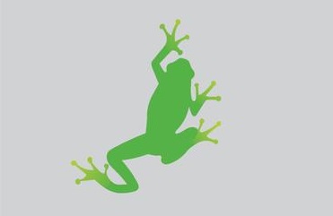 free green tree frog vector